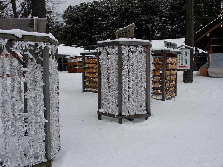 Omikuji Trees