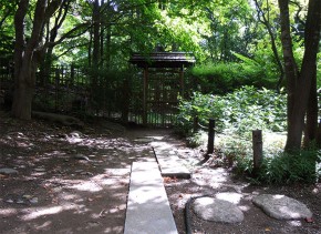 Japanese garden around Hasso-an