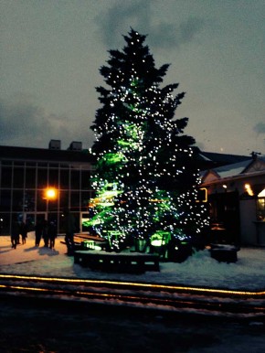 Xmas Tree at kanamori-soko