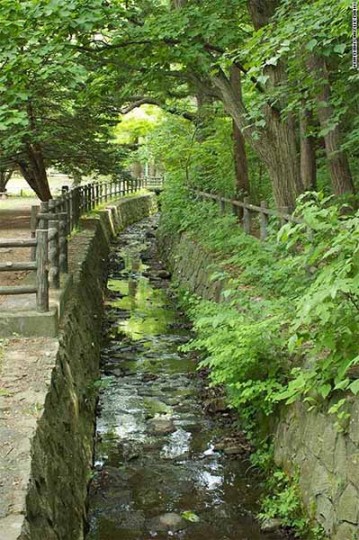 Maruyama park