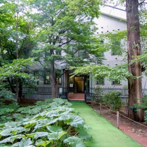 Botanic Garden, Field Science Center for Northern Biosphere, Hokkaido University