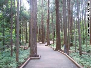 The way to the zoo
