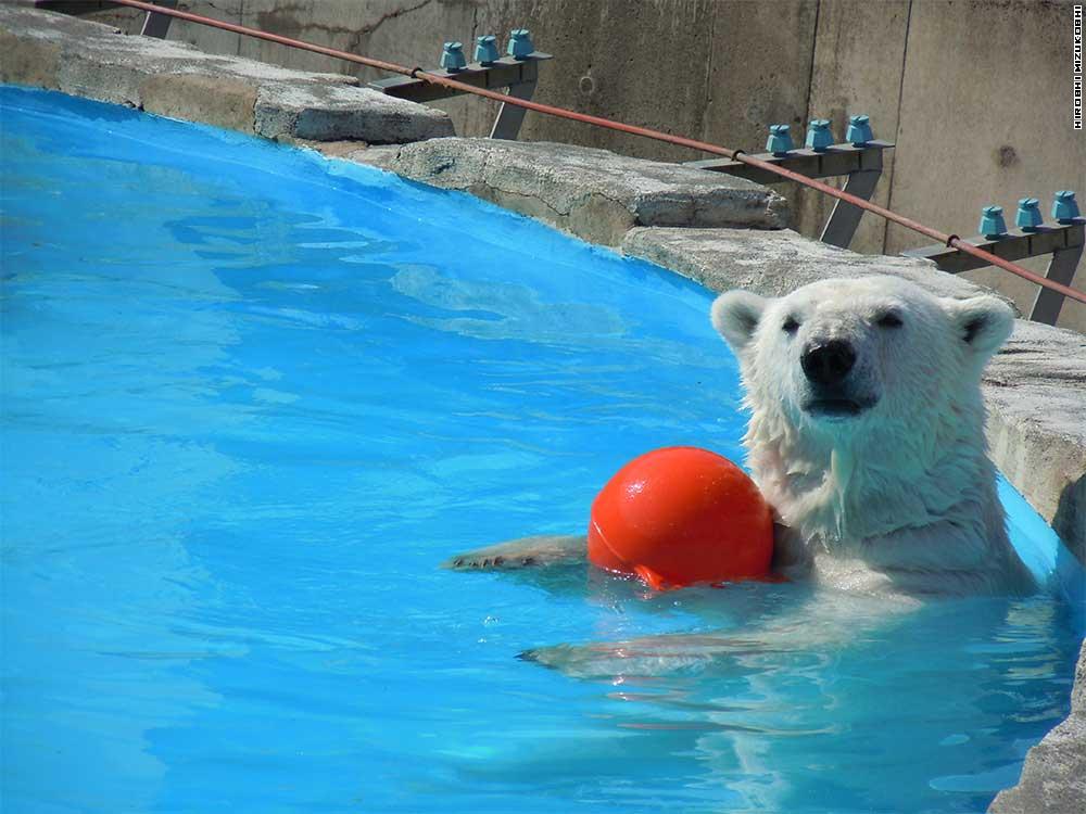 Maruyama Zoo