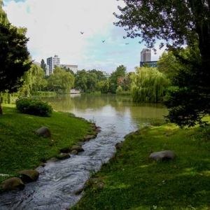 Nakajima Koen Park: Urban Oasis in Sapporo