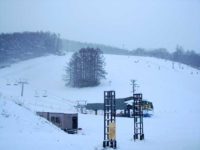 Lily and Snow, Snow Cruise Onze, Otaru