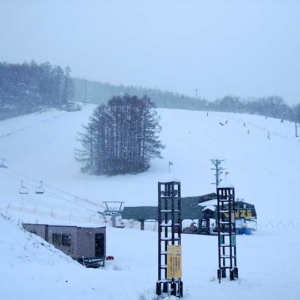 Lily and Snow, Snow Cruise Onze, Otaru