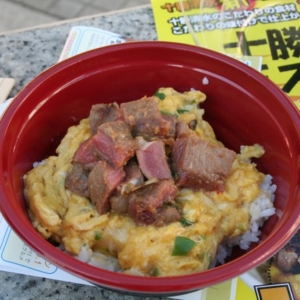 Donburi, Japanese All in One Dish