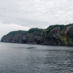 Cape Puyuni
