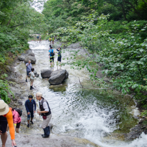 Kamuiwakka Hot Spring Falls(カムイワッカ湯の滝)