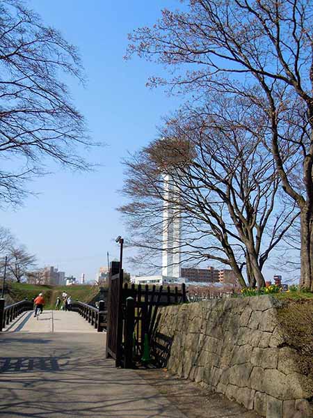 Goryokaku tower