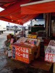 Market in Early Morning: Hakodate Asaichi(函館朝市)