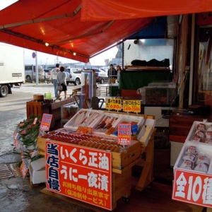 Market in Early Morning: Hakodate Asaichi(函館朝市)