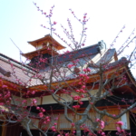 Hakodate Magistrate's Office (函館奉行所/Hakodate Bugyosho)
