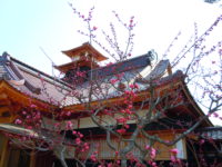 Hakodate Magistrate’s Office (函館奉行所/Hakodate Bugyosho)