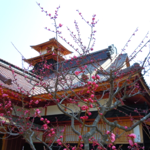 Hakodate Magistrate's Office (函館奉行所/Hakodate Bugyosho)