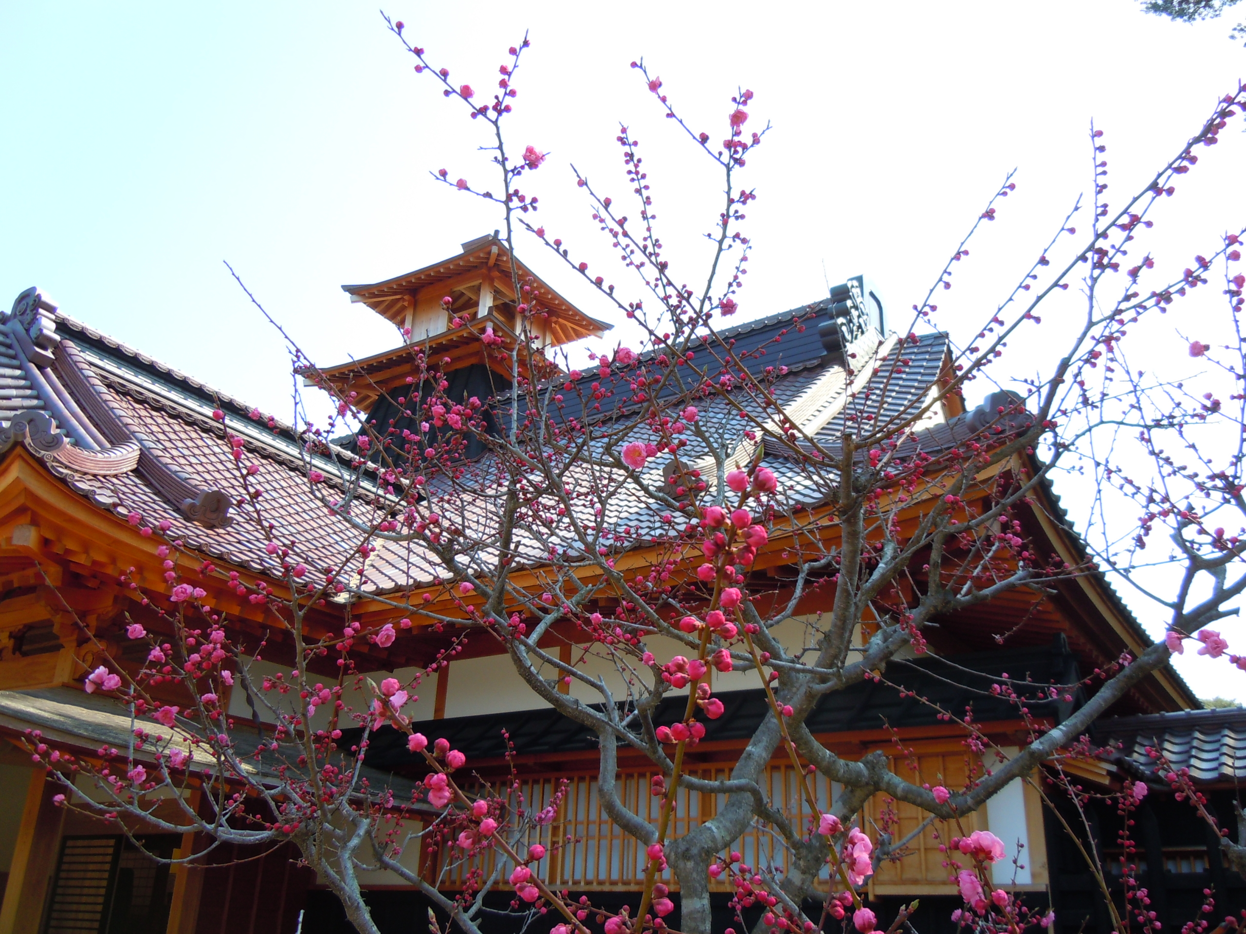 Hakodate Bugyo sho