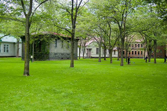 Hokudai campus