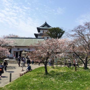 Matsumaejo, Matsumae Castle, The Most Northern Castle in Japan