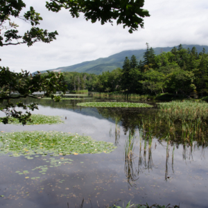 Shiretoko Goko Lakes（知床五湖）