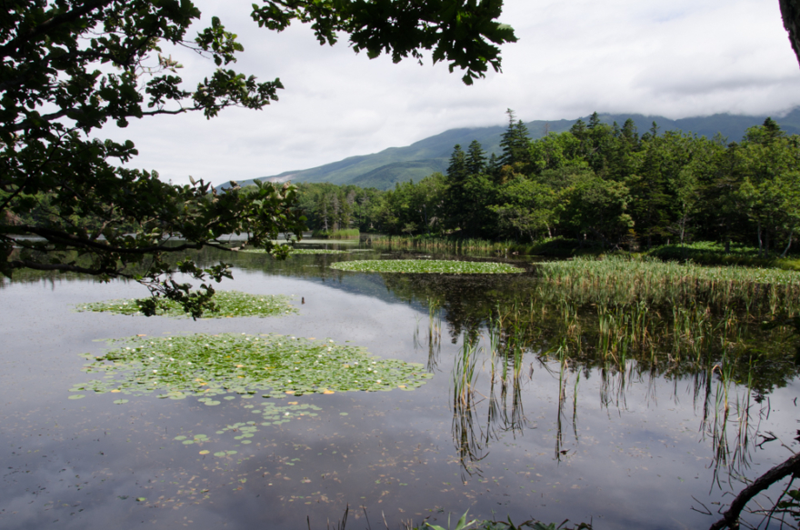 Shiretoko Goko Lakes(知床五湖)