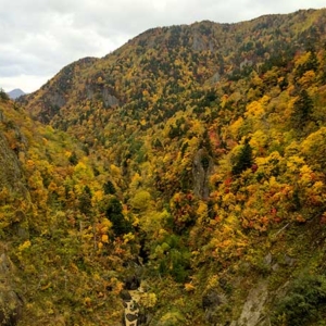 Hoheikyo in Autumn, surrounded by Red, Yellow and Deep Green