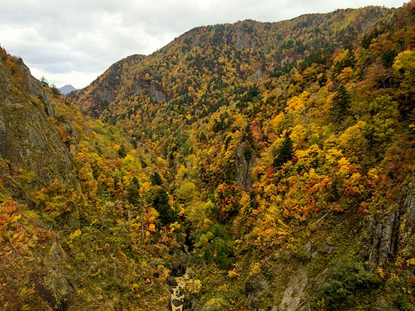 Houheikyo in Autumn