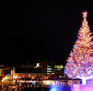 Hakodate Christmas Fantasy [Nov, 29 – Dec, 25]