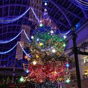 Jumbo Christmas Tree Illumination In Sapporo Factory Atrium [Nov, 1 – Dec, 25]