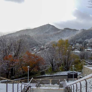 Snow and Autumn Leaves In Asahiyama Memorial Park