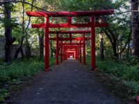 Sapporo Fushimi Inari Jinjya