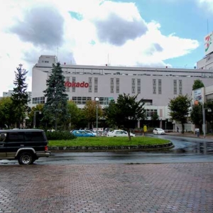 Manga, 100yen Shop, Drugstore and SuperMarket in Kotoni