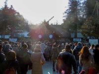 Hatsumoude(初詣) where to go, The first shrine visit of New Year