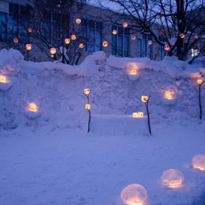 Otaru Snow Light Path 2020