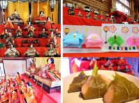 Hina Doll Festival Tour 2015 in Historical Village of Hokkaido