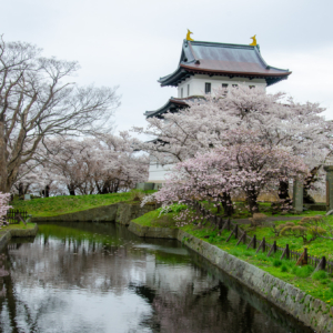 10 Beautiful Sakura Viewing in Hokkaido