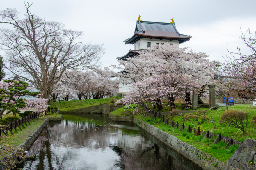 Best 10 Sakura Sites in Hokkaido