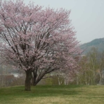 Makomanai Park(真駒内公園)