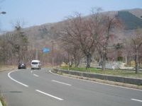 Noboribetsu Onsen Cherry-tree line(登別桜のトンネル)
