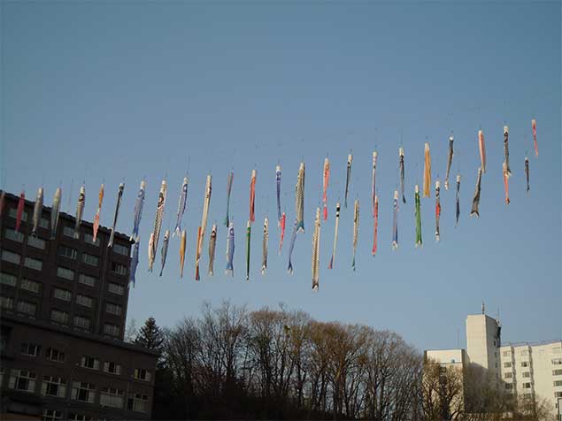 koinobori-2015-3
