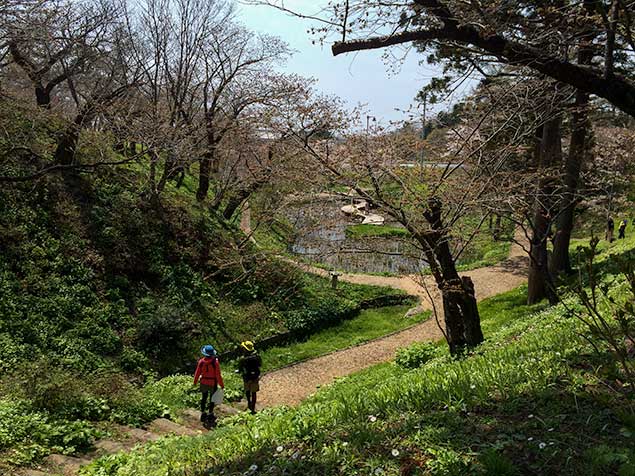 matsumae-park1