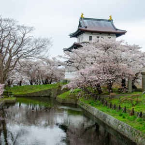 How to walk in Matsumae