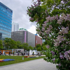 Ramen, Hokkaido wine and Local and World Foods in Odori Park, Sapporo Lilac Festival 2015