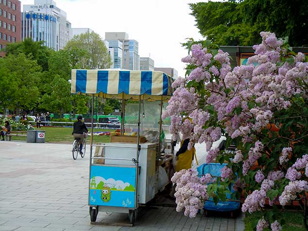 sapporo-lilac-festival2