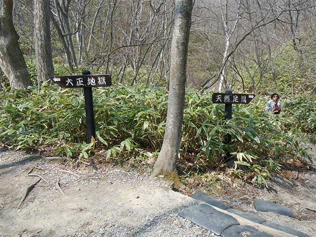 The left side, Taishojigoku Pond and the right side, Ohyunuma river natural hot spa