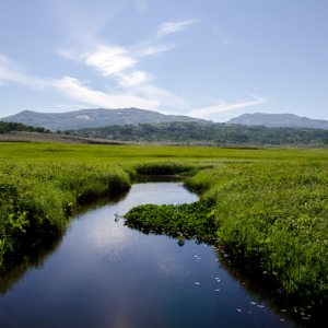 Uryunuma Marsh, the paradise of alpine plants