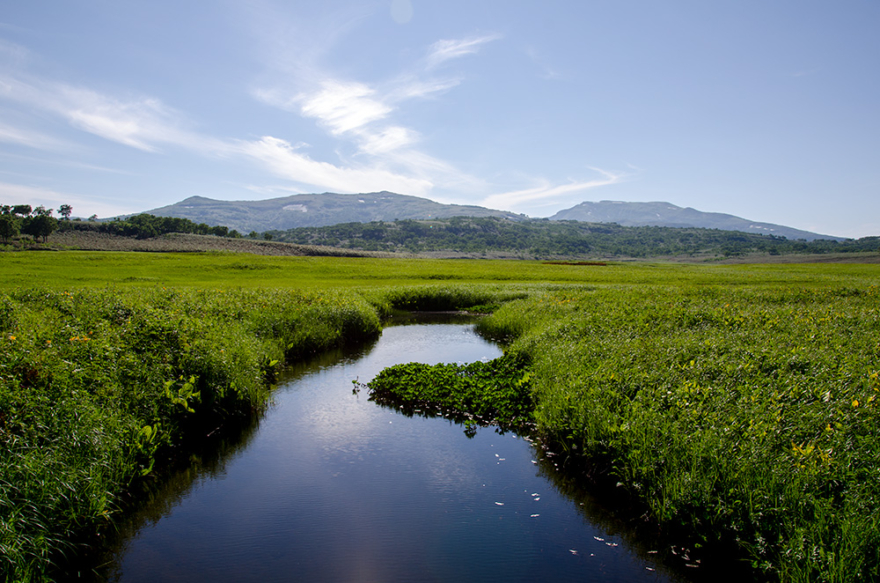 Uryunuma Marsh, the paradise of alpine plants