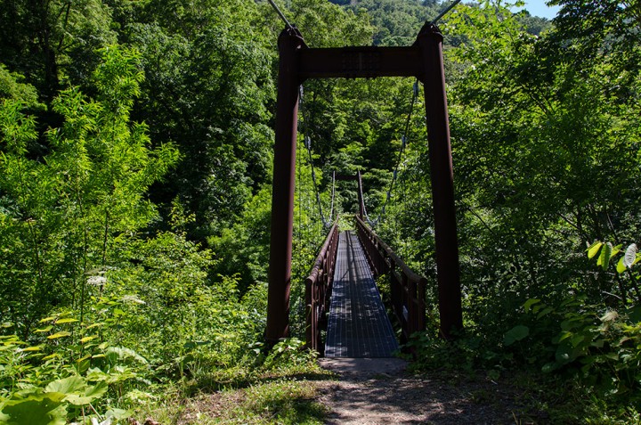 The first bridge