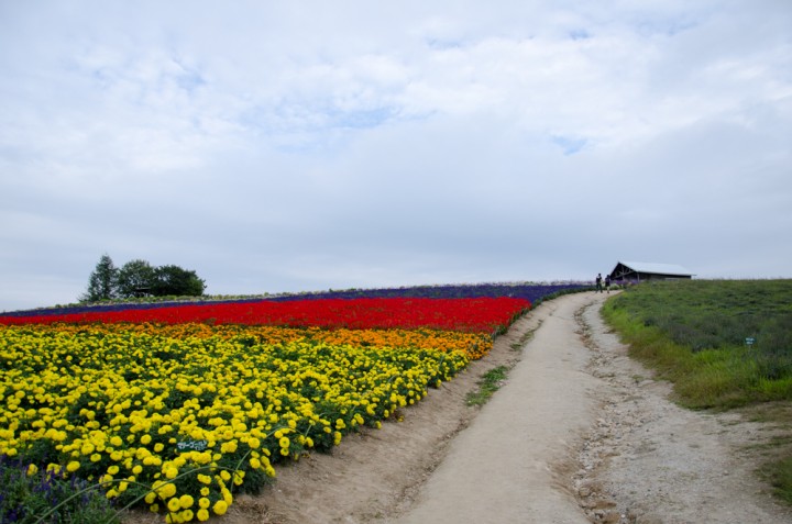 kanno-farm2015-17