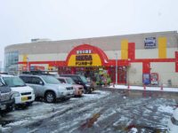 MEGA Don Quijote Shinkawa, Super Discount Store