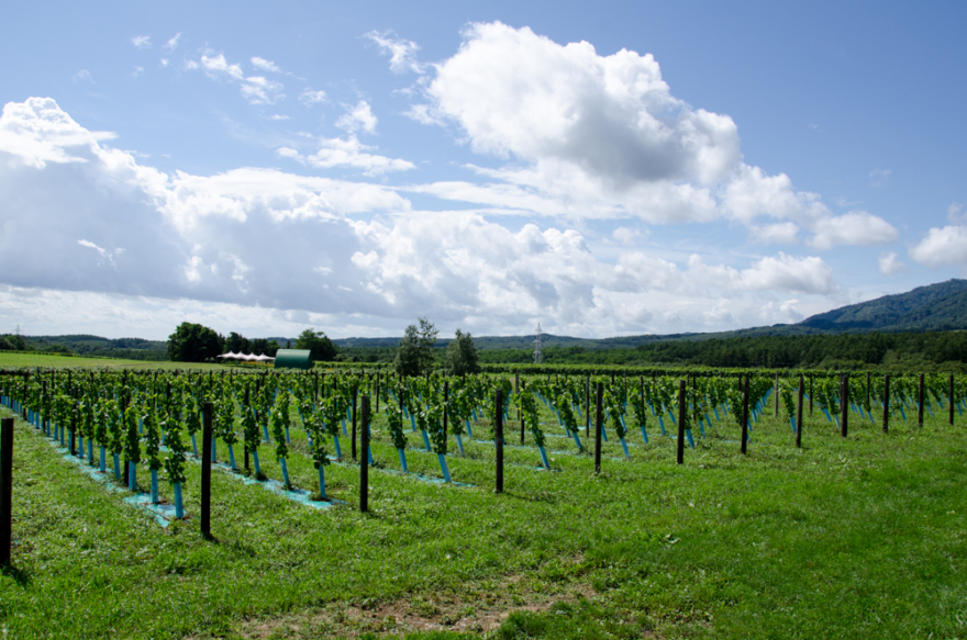 Tsurunuma Winery in Urausu